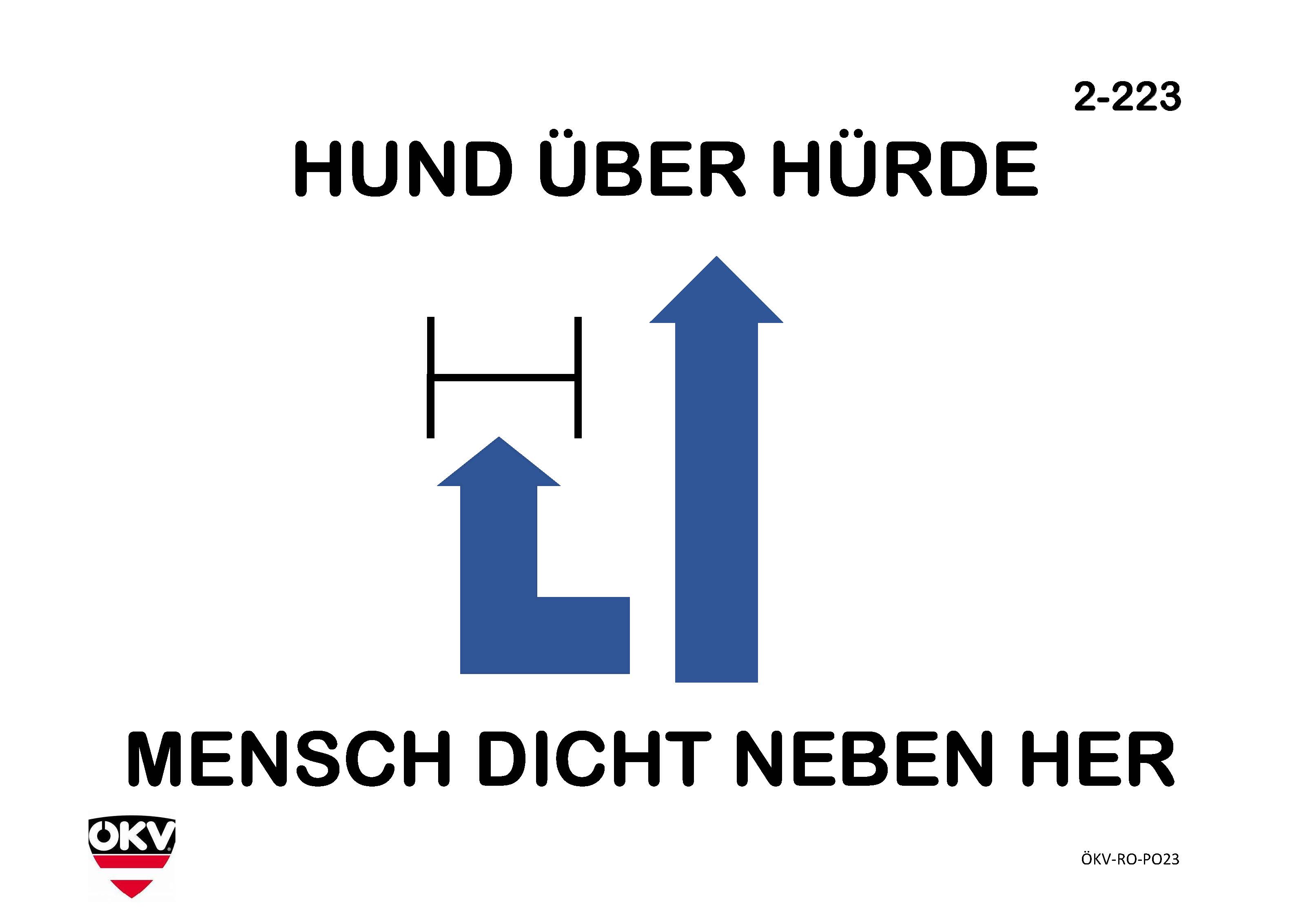Hund über Hürde – Mensch dicht nebenher